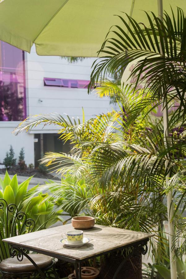 Hostel Spring City Medellin Ngoại thất bức ảnh